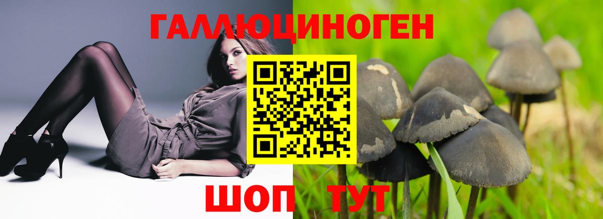 Псилоцибиновые грибы мухоморы  цена наркотик  Псилоцибиновые грибы Psilocybe  Касимов  Вход с VPN 