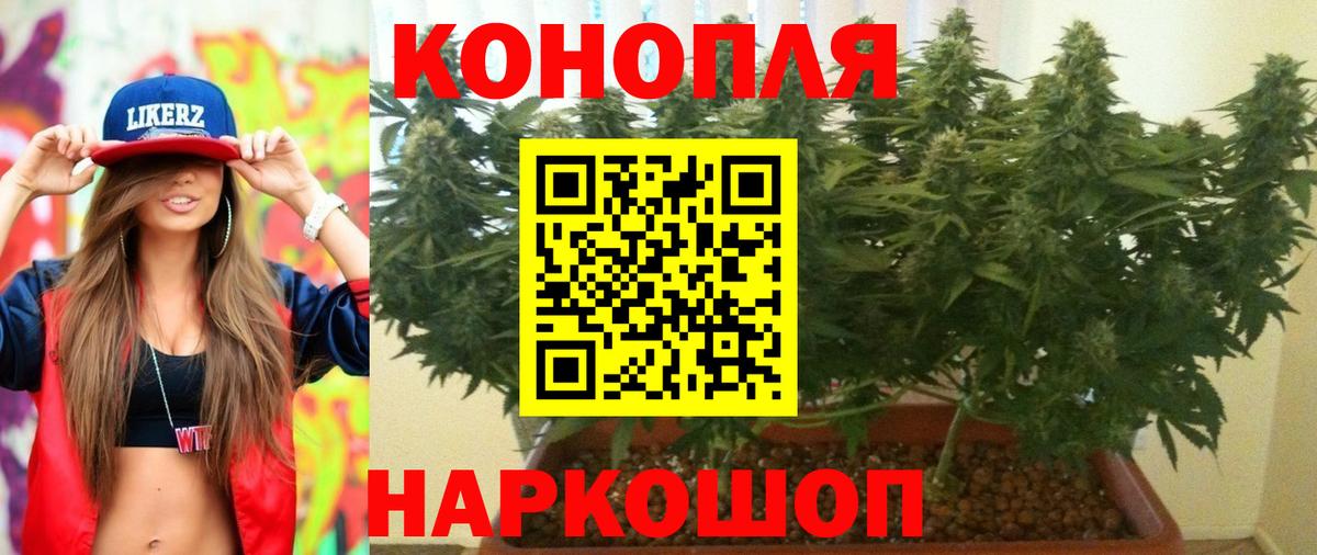 Касимов  Каннабис план  Вход с VPN  Бошки марихуана VHQ 